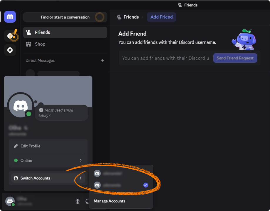 Example of the Discord's settings