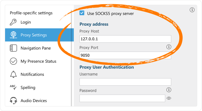 Example of the Virola's Proxy configuration