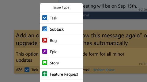 How to set issue type