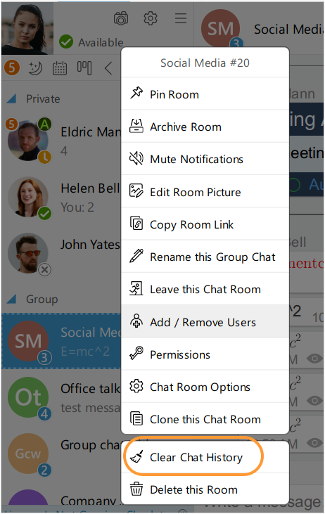 Chat history clearing