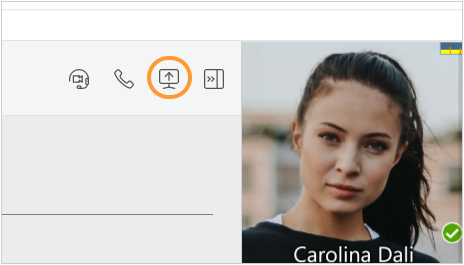 Screen sharing icon