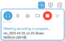 Screenshot of the meeting room toolbar with an ongoing meeting and recording enabled